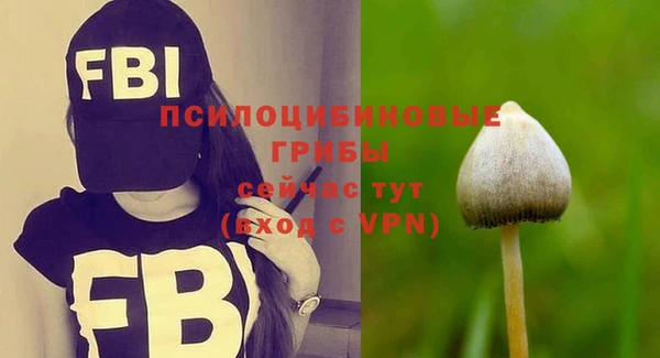 спайс Алексин