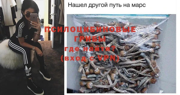стафф Алзамай