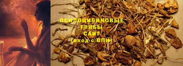 спайс Алексин