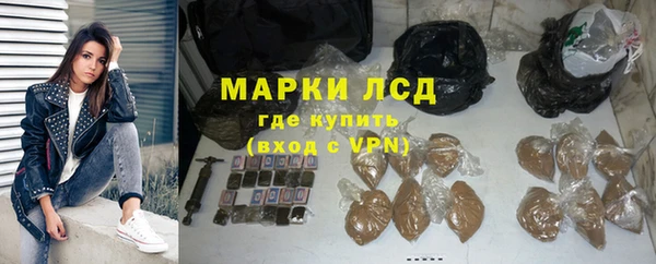прущие грибы Абаза