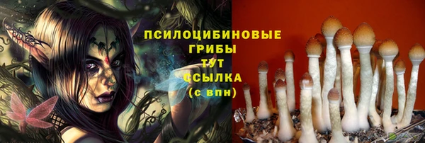 стафф Алзамай